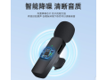 wireless-microphone-small-1